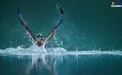 شکار پرنده شکارچی توسط دوربین + عکس
