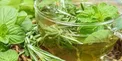 تاثیر آنتی اکسیدانی این گیاه بر حافظه و کاهش استرس