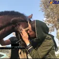 عشق و علاقه شدید خانم بازیگر به یک اسب+عکس