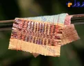 پارچه جدیدی که از خورشید و باد، برق تولید می کند+عکس