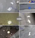 اقدامی ناشایست که منجر به گسترش کرونا می‌شود/عکس