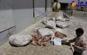 كشف ۴ تن كله پاچه فاسد از يك سردخانه