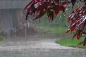 هواشناسی: کاهش ۸ تا ۱۲ درجه‌ای دما طی روزهای آتی در کشور/ هوای تهران نیمه ابری