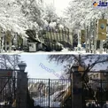 عکس/ طاق ورودی دانشگاه تهران به علت سنگینی بیش از حد برف