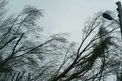 هشدار زردرنگ سازمان هواشناسی در جنوب شرق کشور