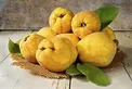 آیا مفیدترین میوه فصل پاییز را می‌شناسید +خواص درمانی