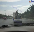 عکس/ حمل بار خطرناک توسط خودروی سواری