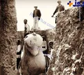 عکس/لحظه بیرون آوردن گنج بزرگ تخت جمشید