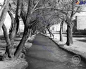 عکسی قدیمی از بلوار کشاورز فعلی در تهران