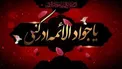 امام جواد (ع) از منظر اندیشمندان اهل تسنن