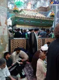 عکس/ نماز رئیس قوه قضائیه در حرم معصومه (س)