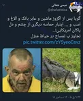 عکس/ تجاوز به تمساح در حیاط منزل یک آمریکایی!