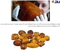 کشف کهربای دو کیلو و 700 گرمی ۵۰ میلیون ساله در روسیه+تصویر