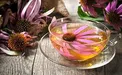 قوی‌ترین گیاه دارویی برای مبارزه با سرماخوردگی
