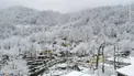 عکس/ صبح برفی ماسوله