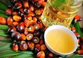 واردات روغن پالم با دریافت مجوز استاندارد