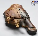 عکس/ پروتزی به قدمت ۳ هزار سال