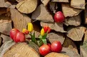 میوه ای که در درمان سردرد معجزه می کند