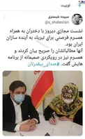 تبلیغات انتخابات همسر همتی+عکس