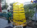 طرح ضربتی شهرداری برای مگس‌های سفید+عکس