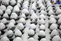 تصویری زیبا از بستنی های درختی در تهران پس از بارش برف