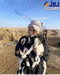 بره های بامزه در آغوش آناهیتا درگاهی+عکس
