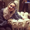 سگ های پشمالو و بامزه خانم بازیگر مشهور+عکس