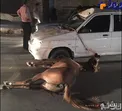 تصادف دلخراش پراید با اسب + عکس