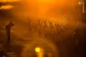عکس/ پیاده‌روی گرگ‌ها در غروب آفتاب