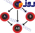 آشنایی با خصـوصیات گروه‌های خـونی