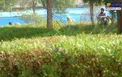 نخستین تصویر از لحظه تیراندازی یکی از تروریست‌های اهواز