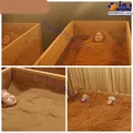 حمام لاکچری ثروتمندان در خاک+عکس