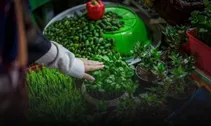آغاز سال ۱۴۰۲؛ بن‌بستی وجود ندارد/ چرا برخی غمگینیم؟