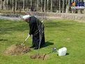 روحانی با دستکش درختکاری کرد/ عکس