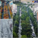 عکس/ خیابانی زیبا در شهر بیجار کردستان