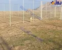 اولین تصویر از یوزپلنگ ایرانی در منطقه حفاظت شده