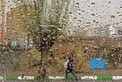 هواشناسی: بارندگی در غرب/ آخر هفته غبارآلود در مناطقی از کشور