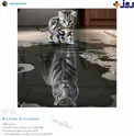 پست اينستاگرامى جالب خواننده پاپ+عکس