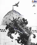 عکس/ امامزاده صالح در دهه ۴۰