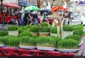 عکس/ صدای پای نوروز در کابل