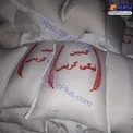 حرکت عجیب خانم بازیگر در کمک هایش به زلزله زدگان+عکس