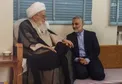 تصویری از دیدار حاج قاسم با آیت الله صافی گلپایگانی