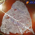 نقشه ی ظريف آمستردام روى برگ يک درخت +عکس