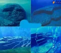 کشف سازه ای عظیم و عجیب زیر دریای ژاپن/عکس