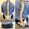 عکس/ تاثیر باورنکردنی کیف پول، روی ستون فقرات شما در زمان نشستن!