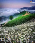 عکس/ طبیعتی باورنکردنی در گیلان