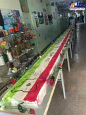 پخت کیک 12متری به شکل پرچم ایران+عکس