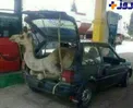 حمل شتر با پرايد! +عکس