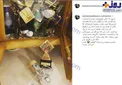اتفاق عجیبی که برای سیمرغ فجر مهدویان افتاد