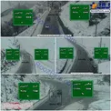 بارش برف در محور کرج ـ چالوس +عکس